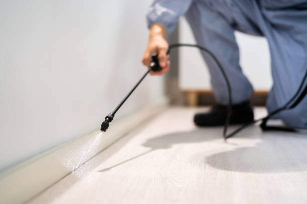 Licensed Pest Control service in Booker, TX - Show Me Pest Control