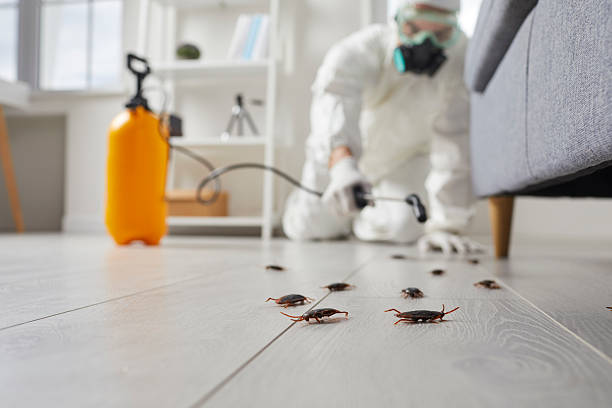 Commercial Rodent Management in Booker